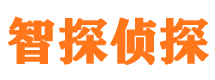 凤翔市调查公司